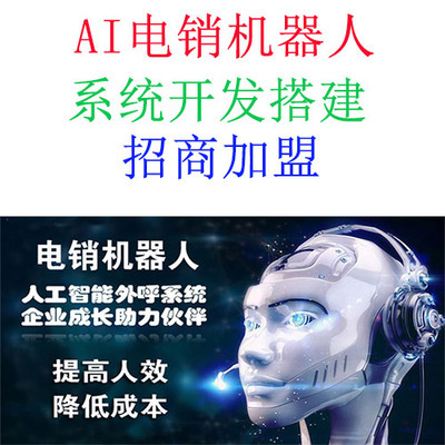 電銷(xiāo)軟件與人工智能基礎(chǔ)軟件開(kāi)發(fā) 融合與創(chuàng)新
